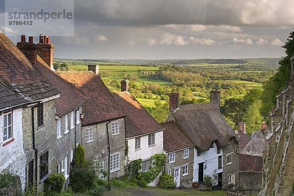 Europa Großbritannien Hügel Gold Sehenswürdigkeit Dorset England Shaftesbury