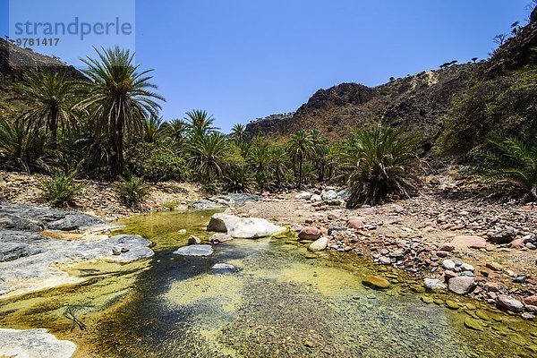 grün Tal Insel Naher Osten Hochebene UNESCO-Welterbe Teich Jemen