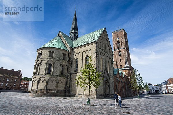Europa überleben Großstadt Dänemark Kathedrale Jütland Ribe Skandinavien