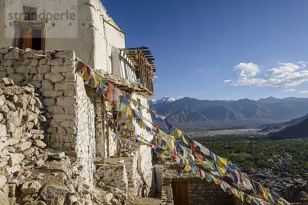 dramatisch hocken - Tier Himalaya Asien Indien Ladakh Leh Kloster