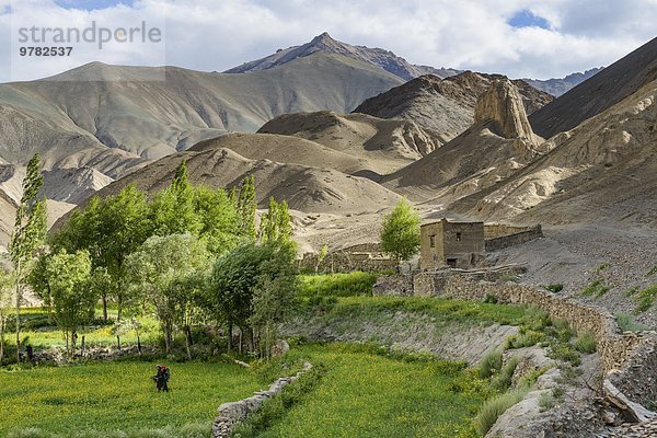 Frau Berg arbeiten Feld Himalaya Asien Indien Ladakh