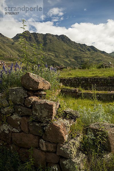 Ruine Ansicht Sacred Valley of the Incas Urubamba Valley Zitadelle Inka Peru Pisac Südamerika