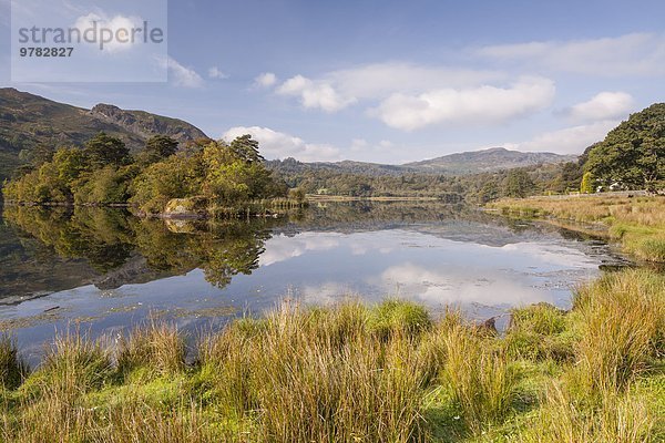Nationalpark Stilleben still stills Stillleben Wasser Europa Großbritannien See Cumbria Ortsteil England