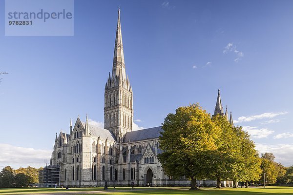 Europa Lifestyle Großbritannien Kirchturm Verbindung bauen Gotik hoch oben Jahrhundert England Salisbury Salisbury Cathedral Wiltshire
