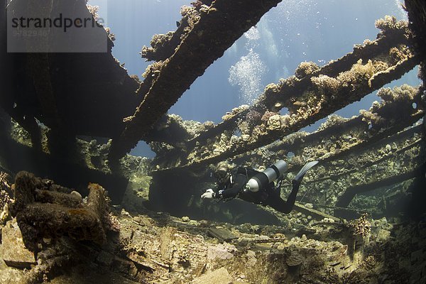 Nordafrika Ruine Afrika Ägypten Rotes Meer