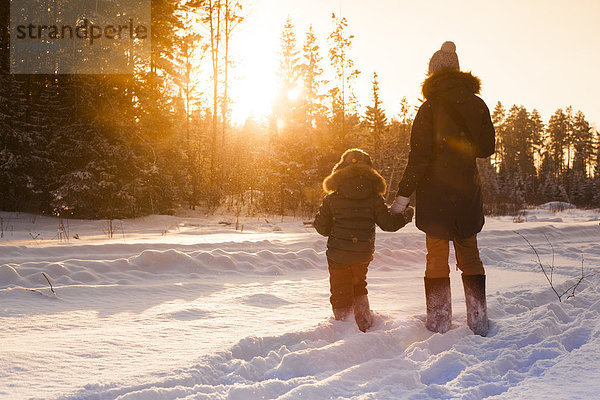 gehen Sohn Schnee Wald Mutter - Mensch