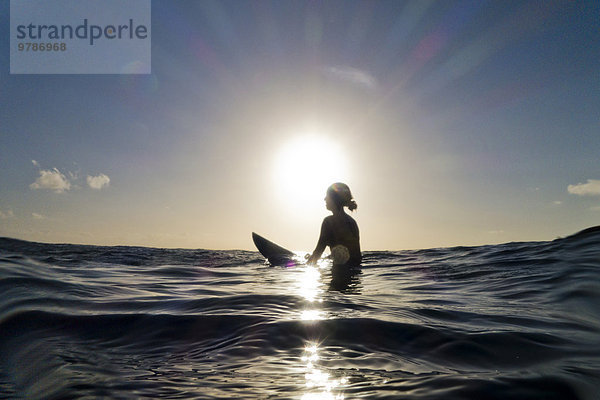sitzend Silhouette Ozean Surfboard Wellenreiten surfen