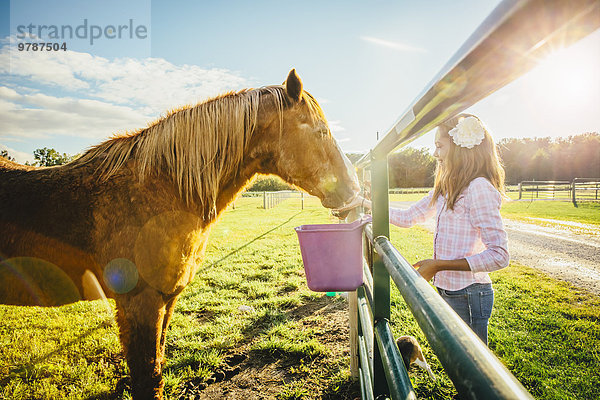 Europäer Mädchen füttern Ranch