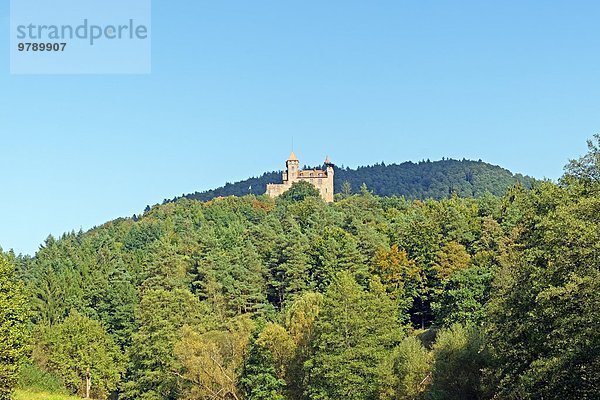 Burg Berwartstein  Erlenbach bei Dahn  Rheinland-Pfalz  Deutschland  Europa