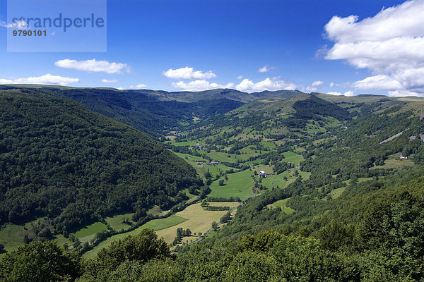 Brezons-Tal  Cantal  Auvergne  Frankreich  Europa