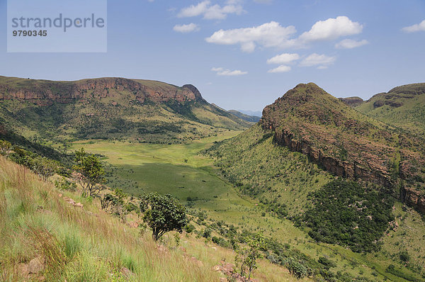 Landschaft mit Felsen und Gras im Marakele-Nationalpark  Waterberg Mountains  Limpopo-Provinz  Südafrika