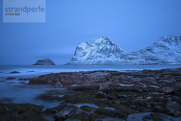 Strand zur blauen Stunde  Haukland  Lofoten  Norwegen  Europa