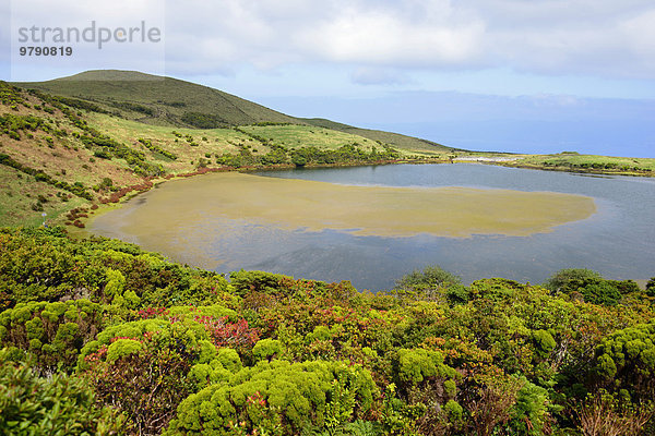 See Lagoa do Caiado  Hochland  Pico  Azoren  Portugal  Europa