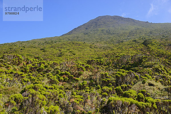 Berg Pico  Hochland  Pico  Azoren  Portugal  Europa