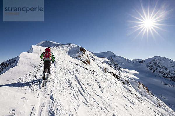 Skitourengeher beim Aufstieg auf die Suldenspitz  am Gipfelgrat  hinten der Cevedale und die Zufallspitz  Sulden  Ortlergebiet  Ortlergruppe  Nationalpark Stilfser Joch  Vinschgau  Südtirol  Trentino-Südtirol  Italien  Europa
