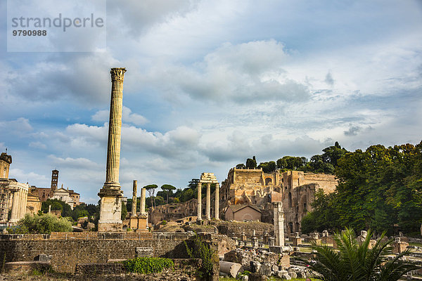 Säulen  Tempel des Saturn  Forum Romanum  Rione X Campitelli  Rom  Latium  Italien  Europa