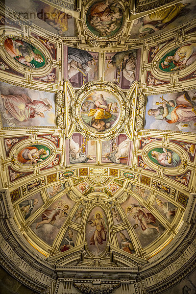 Fresken der Kapelle von St. Peter dem Märtyrer auch Kapelle St. Pius V.  Vatikanische Museen  Vatikanstadt  Italien  Europa