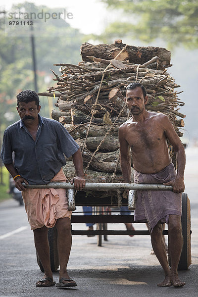 Tagelöhner ziehen mit Holz beladenen Karren  Alappuzha  Kerala  Indien  Asien