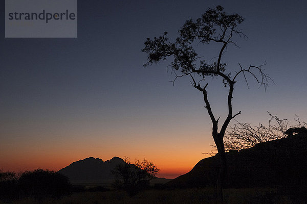 'Abendlicht  Sonnenuntergang bei der Spitzkoppe  hinten die ''Kleine Spitzkoppe''  Namibia  Afrika'