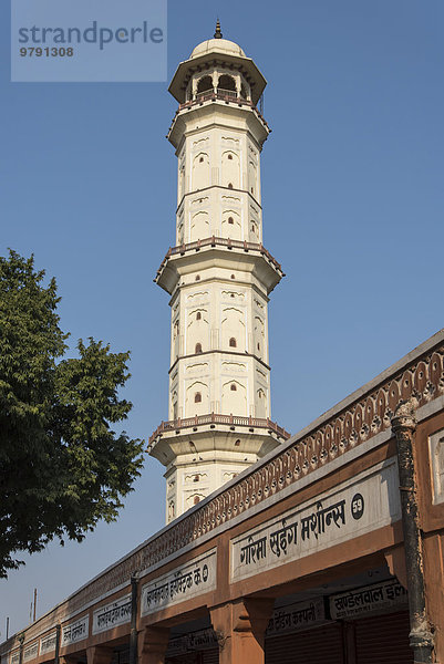 Iswari Minar Swarga Sal  Heaven-Piercing-Minarett  Jaipur  Rajasthan  Indien  Asien