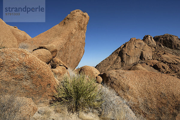 Felsen und Vegetation  Spitzkoppe  Damaraland  Namibia  Afrika