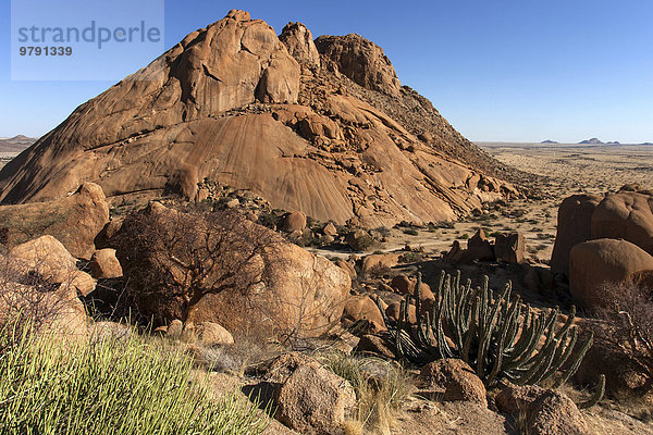Ausblick von der Großen Spitzkoppe mit typischer Vegetation an der Spitzkoppe  Damaraland  Namibia  Afrika