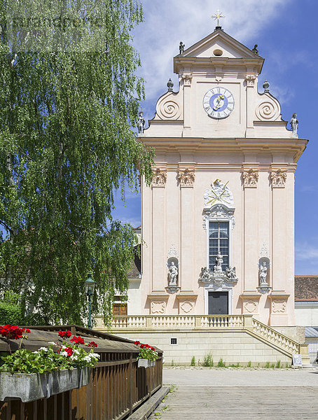 Kirche der Kartause Mauerbach  Niederösterreich  Österreich  Europa