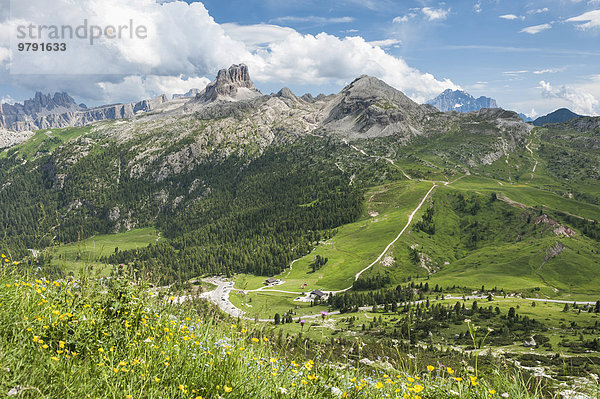Straße zum Falzaregopass  oben Felsgruppe Cinque Torri  Dolomiten  Cortina d'Ampezzo  Veneto  Italien  Europa