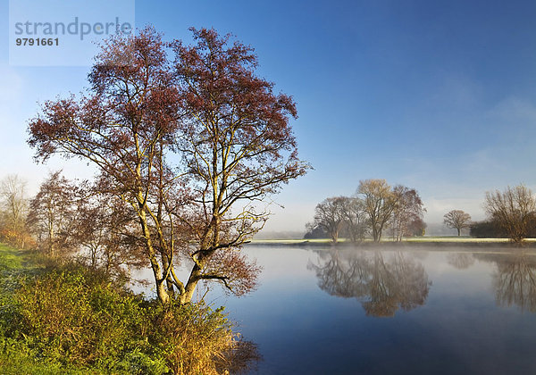 Herbstmorgen an der Ruhr  Witten  Ruhrgebiet  Nordrhein-Westfalen  Deutschland  Europa