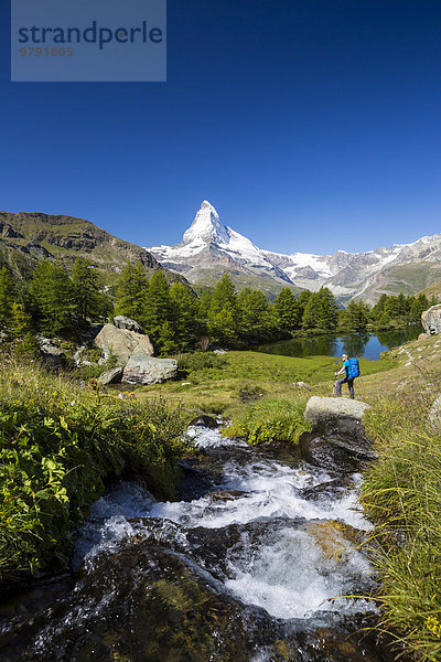 Mann beim Wandern am Grindjisee  dahinter Matterhorn  Zermatt  Wallis  Schweiz  Europa