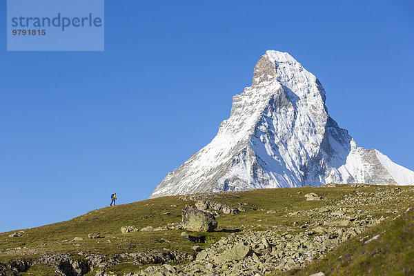 Wanderer am Wanderweg Höhbalmen  dahinter das Matterhorn  Zermatt  Wallis  Schweiz  Europa