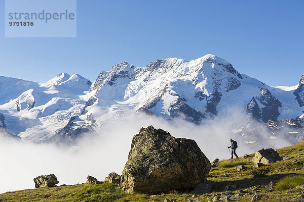 Wanderer am Wanderweg Höhbalmen  dahinter Monte Rosa Gruppe  Zermatt  Wallis  Schweiz  Europa