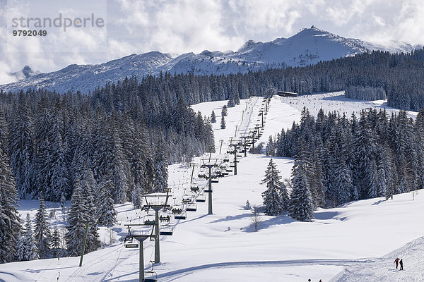 Berg Steinplatte und Sessellift Roßalmbahn  Winklmoosalm  Reit im Winkl  Chiemgauer Alpen  Oberbayern  Bayern  Deutschland  Europa