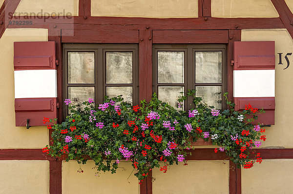 Fenster mit Geranien (Pelargonium spec.) am Fachwerkhaus vom Sekretariatsgebäude  Äußerer Burghof  Kaiserburg  Nürnberg  Mittelfranken  Franken  Bayern  Deutschland  Europa