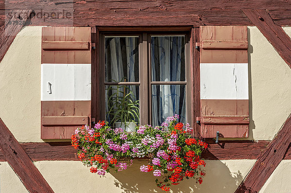 Fenster mit Geranien (Pelargonium spec.) am Fachwerkhaus vom Sekretariatsgebäude  Äußerer Burghof  Kaiserburg  Nürnberg  Mittelfranken  Franken  Bayern  Deutschland  Europa