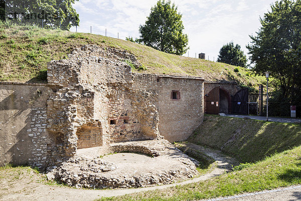 Festung Rüsselsheim  Burganlage  15. Jh.  Rüsselsheim  Hessen  Deutschland  Europa