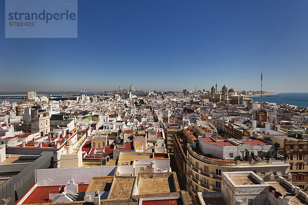 Ausblick vom Torre Tavira auf Altstadt  Cádiz  Andalusien  Spanien  Europa