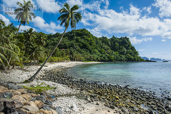 Wilder Strand an der Ostküste der Insel Tutuila  Amerikanisch-Samoa  Südpazifik  Ozeanien