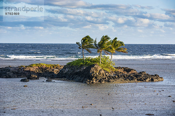 Kleine Felseninsel  Tutuila  Amerikanisch-Samoa  Ozeanien