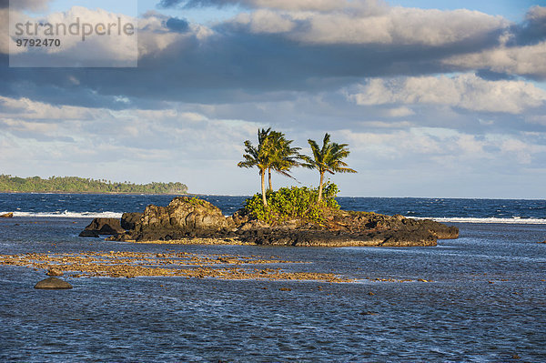 Kleine Felseninsel  Tutuila  Amerikanisch-Samoa  Ozeanien