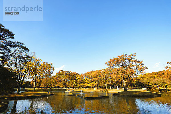 Tokyo Hauptstadt Herbst Japan