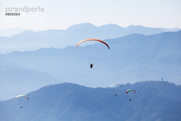 Paragliders