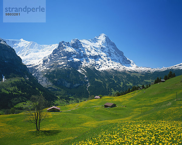 Schweiz