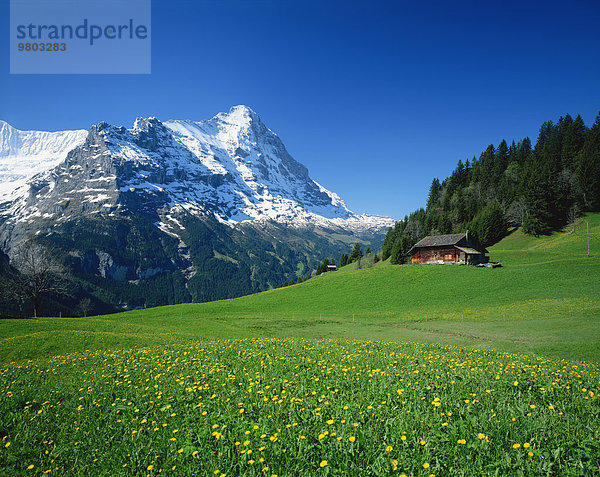 Schweiz