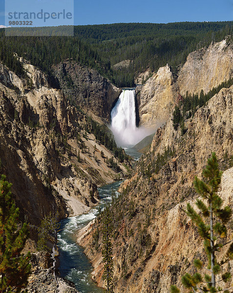 Vereinigte Staaten von Amerika USA Yellowstone Nationalpark