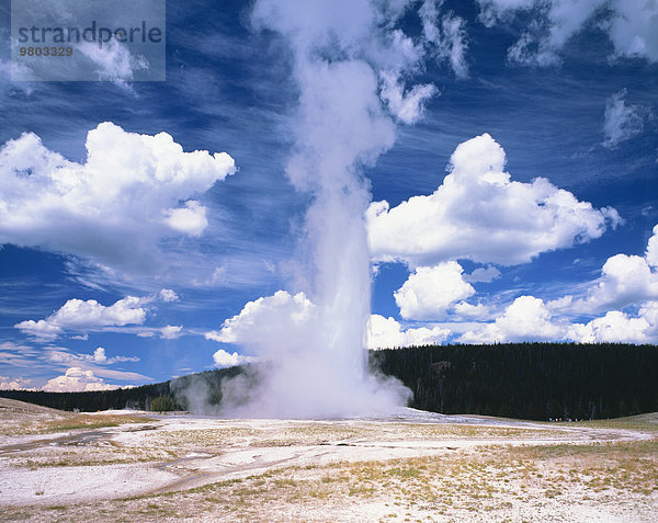 Vereinigte Staaten von Amerika USA Yellowstone Nationalpark