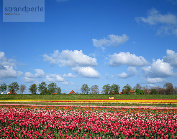 Niederlande