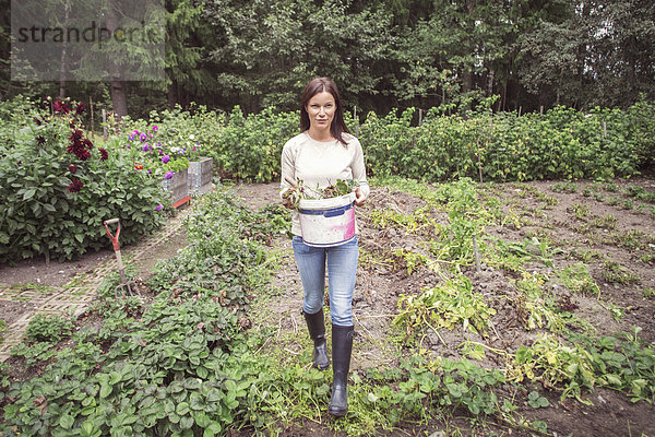 Volle Länge der Frau  die den Eimer trägt  während sie auf dem Biobauernhof spazieren geht.