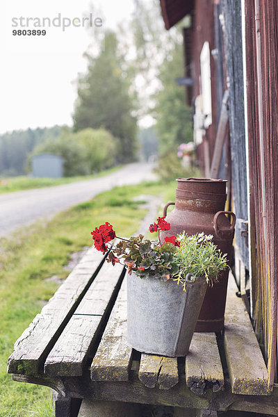 Blumentopf und rostiger Behälter außerhalb der Scheune