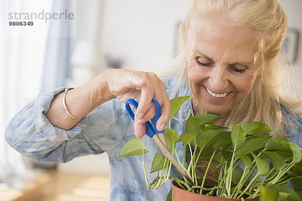 Senior Senioren Frau schneiden Pflanze